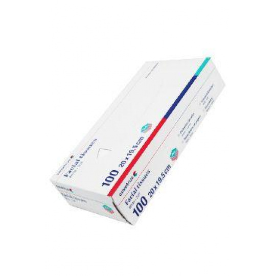 Vreckovky papierové CVET 20x19,5cm box 100ks