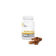 VetExpert VetAminex (Twist Off) 60 cps