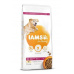 Iams Dog Senior Large Chicken 12kg