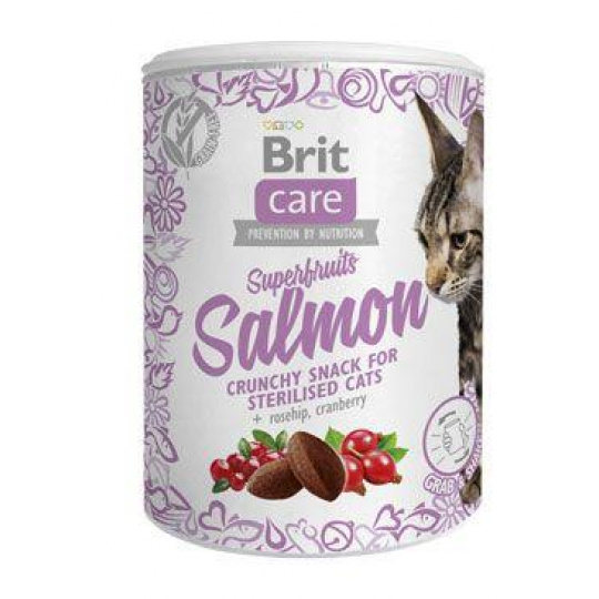 Brit Care Cat Snack Superfruits Salmon 100g Brit Care Cat Snack Superfruits Salmon 100g