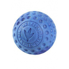 Hračka pes BALL MAXI plávajúca. z TPR modrá Kiwi