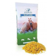 ENERGY´S Cornflakes Kukuričné vločky 15 kg
