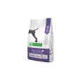 Natures P dog adult all breed lamb 4 kg