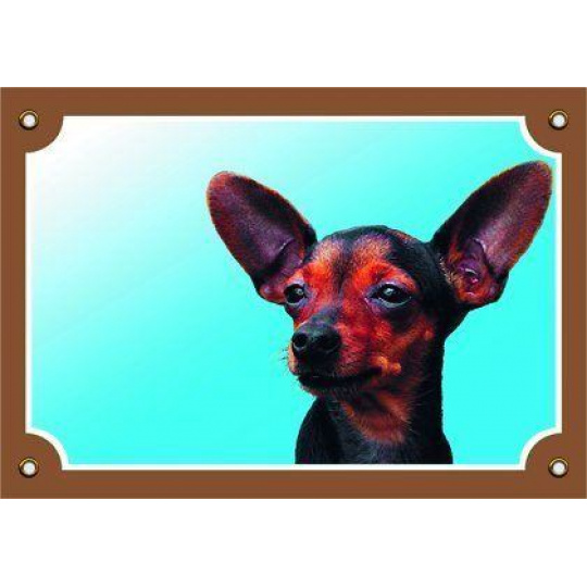 Farebná ceduľka Pozor pes, Krysařík