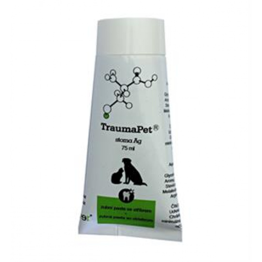 TraumaPet stoma Ag zubná pasta 75 ml TraumaPet stoma Ag zubná pasta 75 ml