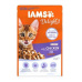 Iams Cat Kotě Kuře v omáčce kapsa 85g
