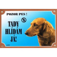 Farebná ceduľka Pozor pes, Jazvečík dlhosrstý