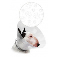 Ochranný golier CVET transparentný labky 40cm 1ks