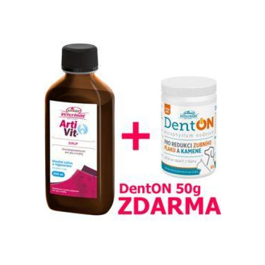 VITAR ArtiVit Sirup 200ml+DentON 50g