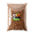 UGF sušený múčny červ 1kg