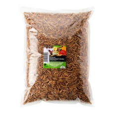 UGF sušený múčny červ 1kg