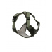 Postroj DUVO+ EXPLOR Ultimate fit, zelený M - 40-49cm - 49-65cm
