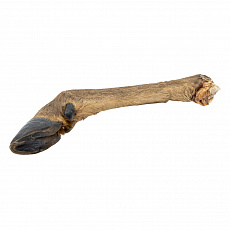 Jelenia noha s kožušinou - 1 ks / 43 - 49 cm Jelenia noha s kožušinou - 1 ks / 43 - 49 cm