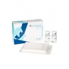 Vexoderm Wound Dressing sterilné krytie 1ks 10x7cm Vexoderm Wound Dressing sterilné krytie 1ks 10x7cm