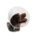Ochranný golier BUSTER plastový Classic Collar 35cm