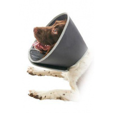 Ochranný golier BUSTER penový Foam Collar 30cm 1ks