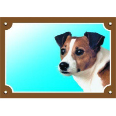 Farebná ceduľka Pozor pes, Jack Russel teriér
