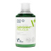 VetExpert Caryodent proliqua 250 ml