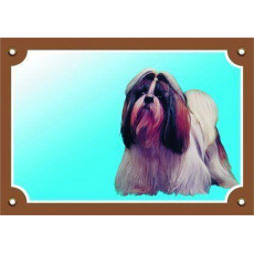 Farebná ceduľka Pozor pes, Shi - tzu