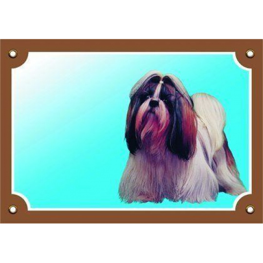 Farebná ceduľka Pozor pes, Shi - tzu