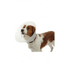 Ochranný golier BUSTER plastový Classic Collar 30cm