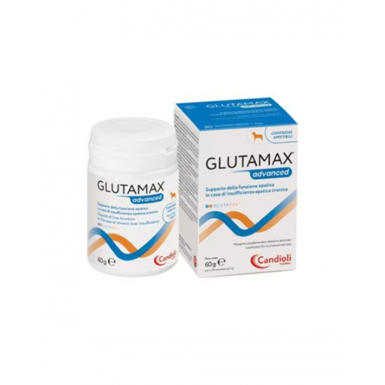 GlutaMax Advanced 12 x 10 tbl. GlutaMax Advanced 12 x 10 tbl.