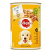 Pedigree konz. Can Junior kuracie v želé 400g
