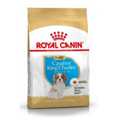 Royal Canin Breed Kavalír King Charles Puppy 1,5kg