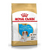 Royal Canin Breed Kavalír King Charles Puppy 1,5kg