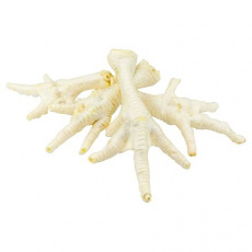 Kurací pazúr biely - 50 ks/bal.