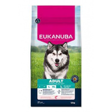 Eukanuba Dog Adult Large bohaté na lososa a jačmeň 12kg