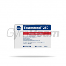 Testosterol 250 - Megabol Testosterol 250 - Megabol