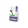 Natures P dog adult all breed lamb 4 kg