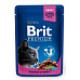 Brit Premium Cat kapsička s kuracím a morčacím 100g