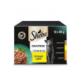 Sheba kapsička Delikatesse hydinový výber 12x85g