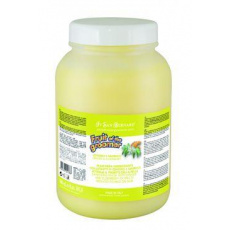 San Bernard Maska Zenzero-Baza 1000ml