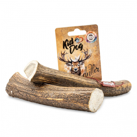 KIDDOG Antler, jelení paroh celý - XL KIDDOG Antler, jelení paroh celý - XL