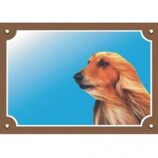 Farebná ceduľka Pozor pes, Afganský chrt