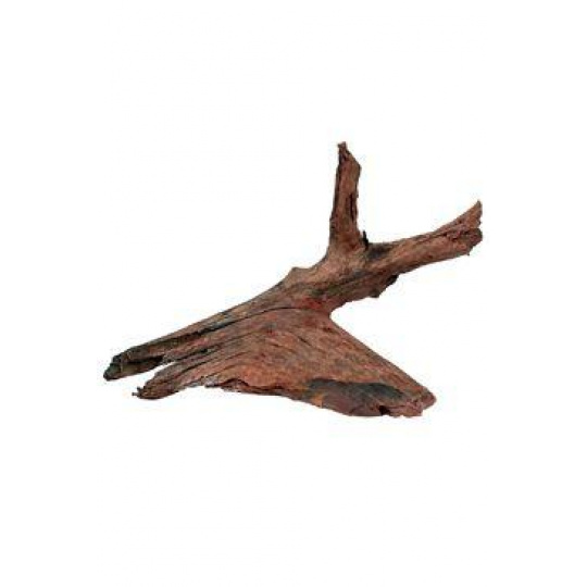 Akváriový/teráriový koreň Mangrove M 25/40cm Zolux Akváriový/teráriový koreň Mangrove M 25/40cm Zolux