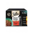 Sheba kapsička Select Slices šťavnatý výber 12x85g