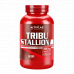Tribu Stallion - ActivLab