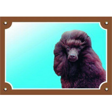 Farebná ceduľka Pozor pes, Pudel hnedý