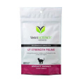 VetriScience UT Strenght podpora.močové cesty mačka 90g