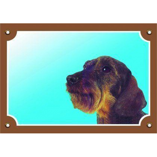 Farebná ceduľka Pozor pes, Jazvečík hrubosrstý