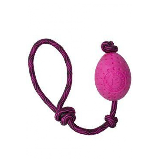 Hračka pes EGG MAXI plávajúca. z TPR ružová Kiwi