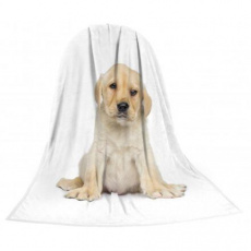 Deka TEXSTAR mikrovlákno 280g 150 x 200 cm, šteniatko