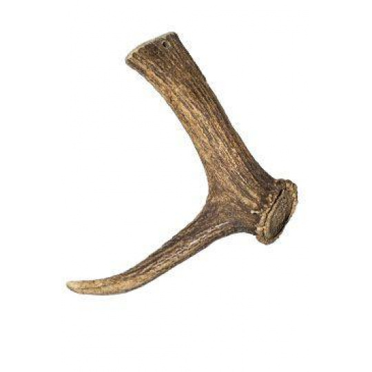 Pochúťka parožie Jeleň 170-230g