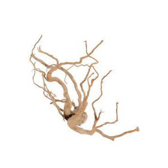 Akváriová dekorácia Pavúčí koreň +60cm Zolux