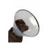 Ochranný golier BUSTER plastový Comfort Collar 12,5cm