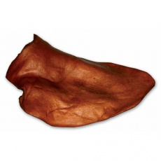 Bravčové ucho - 1ks
